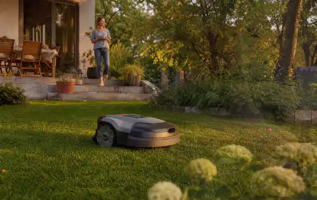 Mähroboter fährt am Abend über einen Rasen im Familiengarten; Thema Mähroboter für große Gärten, Schwerpunkt Kosten; Praxisalltag.
