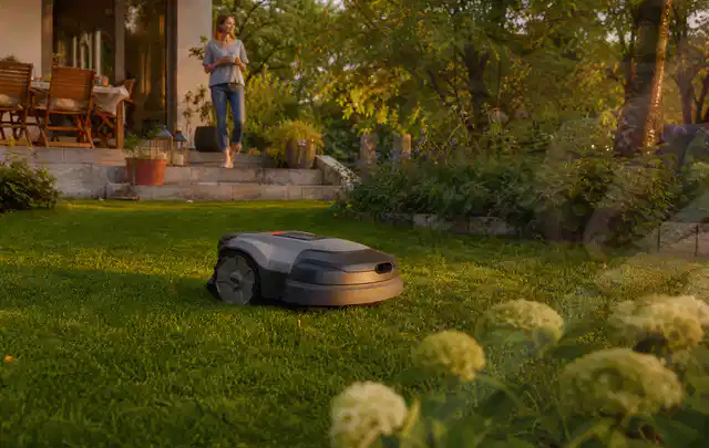 Mähroboter fährt am Abend über einen Rasen im Familiengarten; Thema Mähroboter für große Gärten, Schwerpunkt Leistung; Umsetzung.
