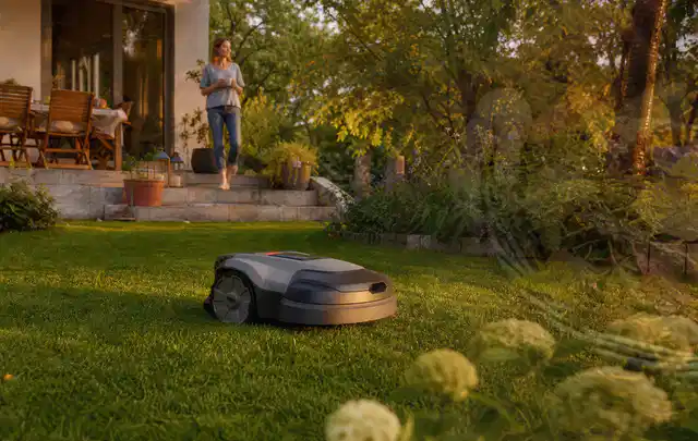Mähroboter fährt am Abend über einen Rasen im Familiengarten; Thema Mähroboter für große Gärten, Schwerpunkt Nachhaltigkeit; Ergebnis.