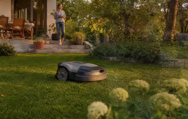 Mähroboter fährt am Abend über einen Rasen im Familiengarten; Thema Mähroboter für große Gärten, Schwerpunkt Reinigung; Ausgangslage.