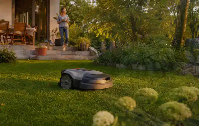 Mähroboter fährt am Abend über einen Rasen im Familiengarten; Thema Mähroboter für große Gärten, Schwerpunkt Sicherheit; Kontrolle.
