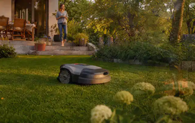 Mähroboter fährt am Abend über einen Rasen im Familiengarten; Thema Mähroboter für große Gärten, Schwerpunkt Systemvergleich; Ergebnis.