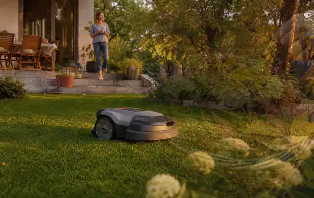 Mähroboter fährt am Abend über einen Rasen im Familiengarten; Thema Mähroboter für große Gärten, Schwerpunkt Vergleich; Ergebnis.