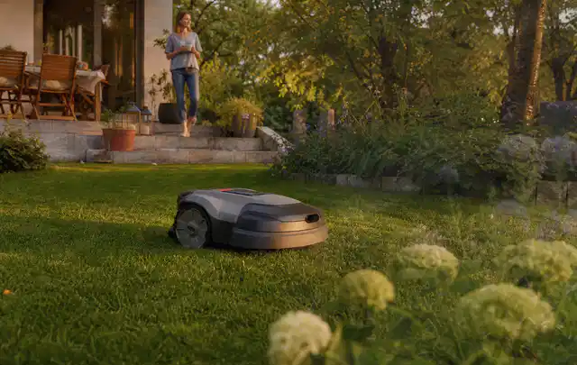 Mähroboter fährt am Abend über einen Rasen im Familiengarten; Thema Mähroboter für große Gärten, Schwerpunkt Wartung; Ergebnis.