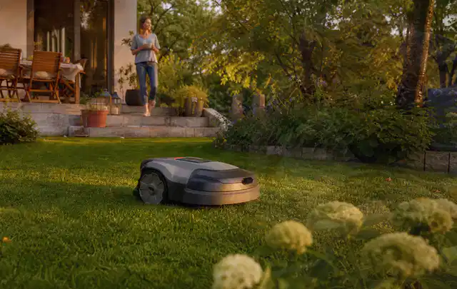 Mähroboter fährt am Abend über einen Rasen im Familiengarten; Thema Mähroboter für große Gärten, Schwerpunkt Winterlager; Ergebnis.