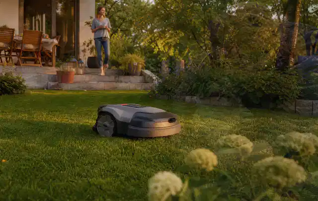 Mähroboter fährt am Abend über einen Rasen im Familiengarten; Thema Mähroboter für Hanglagen, Schwerpunkt Anwendung; Kontrolle.