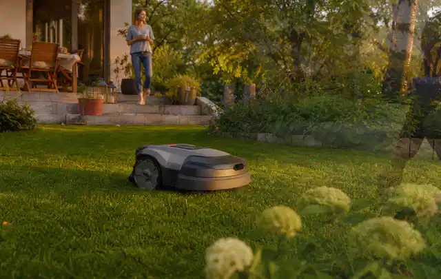 Mähroboter fährt am Abend über einen Rasen im Familiengarten; Thema Mähroboter für Hanglagen, Schwerpunkt Gärten mit großer Fläche; Ergebnis.