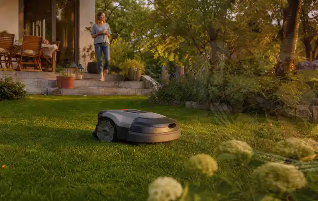 Mähroboter fährt am Abend über einen Rasen im Familiengarten; Thema Mähroboter für Hanglagen, Schwerpunkt Gärten mit kleiner Fläche; Ausgangslage.
