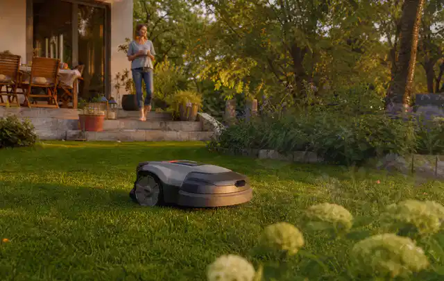 Mähroboter fährt am Abend über einen Rasen im Familiengarten; Thema Mähroboter für Hanglagen, Schwerpunkt Kosten; Umsetzung.