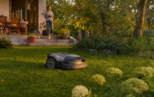 Mähroboter fährt am Abend über einen Rasen im Familiengarten; Thema Mähroboter für Hanglagen, Schwerpunkt Reparatur; Praxisalltag.
