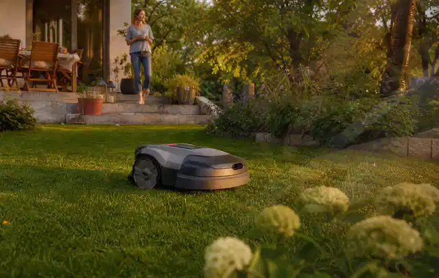 Mähroboter fährt am Abend über einen Rasen im Familiengarten; Thema Mähroboter für Hanglagen, Schwerpunkt Testkriterien; Praxisalltag.