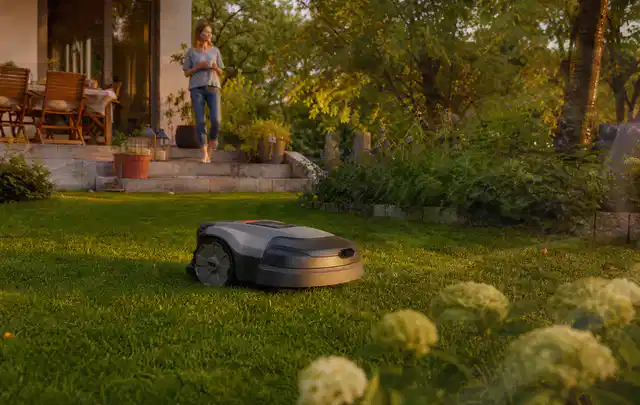 Mähroboter fährt am Abend über einen Rasen im Familiengarten; Thema Mähroboter für Hanglagen, Schwerpunkt Vergleich; Ausgangslage.
