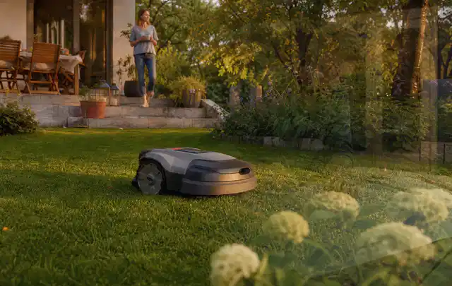 Mähroboter fährt am Abend über einen Rasen im Familiengarten; Thema Mähroboter für Hanglagen, Schwerpunkt Winterlager; Ergebnis.