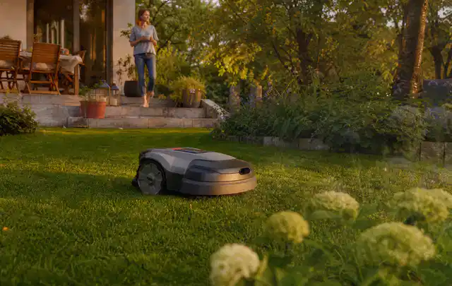Mähroboter fährt am Abend über einen Rasen im Familiengarten; Thema Mähroboter für kleine Gärten, Schwerpunkt Anwendung; Umsetzung.