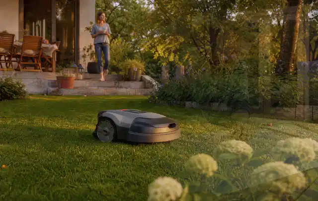 Mähroboter fährt am Abend über einen Rasen im Familiengarten; Thema Mähroboter für kleine Gärten, Schwerpunkt Bestenliste; Ergebnis.
