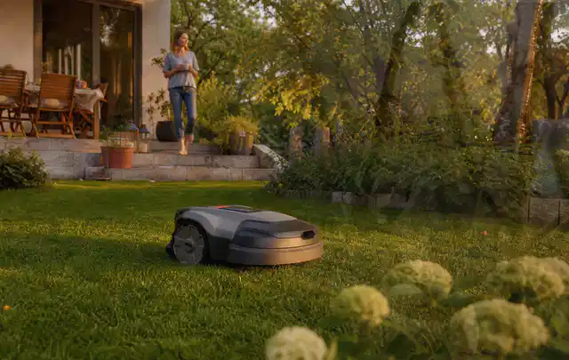 Mähroboter fährt am Abend über einen Rasen im Familiengarten; Thema Mähroboter für kleine Gärten, Schwerpunkt Checkliste; Praxisalltag.