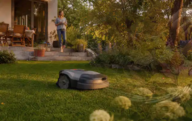 Mähroboter fährt am Abend über einen Rasen im Familiengarten; Thema Mähroboter für kleine Gärten, Schwerpunkt Fehlerhilfe; Umsetzung.
