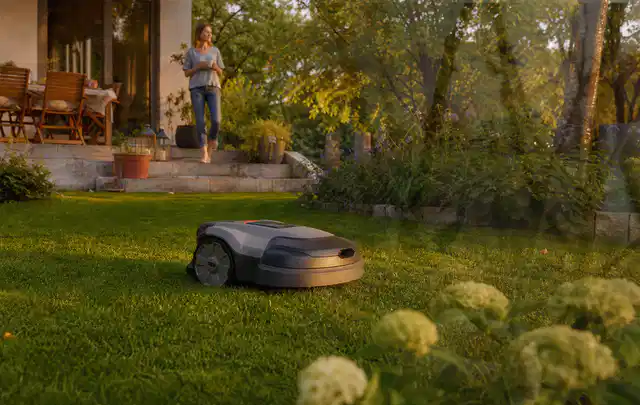 Mähroboter fährt am Abend über einen Rasen im Familiengarten; Thema Mähroboter für kleine Gärten, Schwerpunkt Kosten; Kontrolle.
