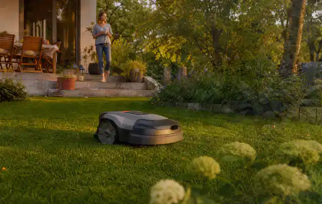 Mähroboter fährt am Abend über einen Rasen im Familiengarten; Thema Mähroboter für kleine Gärten, Schwerpunkt Nachhaltigkeit; Kontrolle.