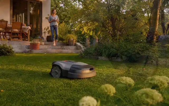 Mähroboter fährt am Abend über einen Rasen im Familiengarten; Thema Mähroboter für kleine Gärten, Schwerpunkt Reinigung; Umsetzung.