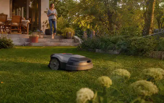 Mähroboter fährt am Abend über einen Rasen im Familiengarten; Thema Mähroboter für kleine Gärten, Schwerpunkt Sicherheit; Ausgangslage.