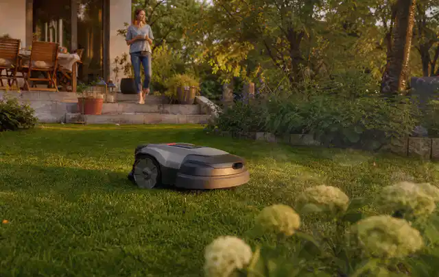 Mähroboter fährt am Abend über einen Rasen im Familiengarten; Thema Mähroboter für kleine Gärten, Schwerpunkt Winterlager; Ausgangslage.