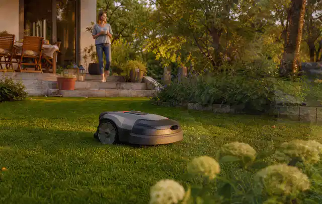 Mähroboter fährt am Abend über einen Rasen im Familiengarten; Thema Mähroboter Garagen; Ausgangslage.