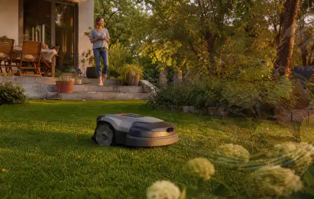 Mähroboter fährt am Abend über einen Rasen im Familiengarten; Thema Mähroboter Garagen, Schwerpunkt Reinigung; Praxisalltag.