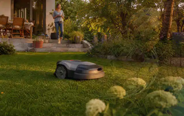 Mähroboter fährt am Abend über einen Rasen im Familiengarten; Thema Mähroboter Installation, Schwerpunkt Gärten mit kleiner Fläche; Umsetzung.