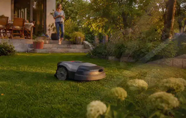 Mähroboter fährt am Abend über einen Rasen im Familiengarten; Thema Mähroboter Installation, Schwerpunkt Kosten; Ergebnis.