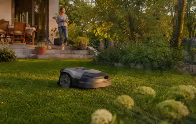 Mähroboter fährt am Abend über einen Rasen im Familiengarten; Thema Mähroboter Installation; Umsetzung.