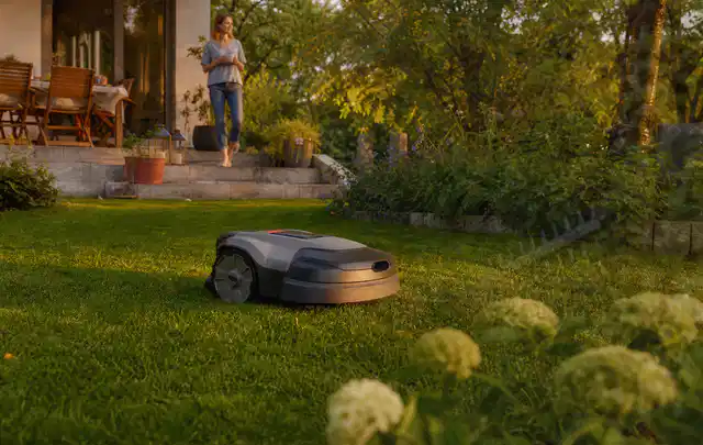 Mähroboter fährt am Abend über einen Rasen im Familiengarten; Thema Mähroboter Installation, Schwerpunkt Systemvergleich; Umsetzung.