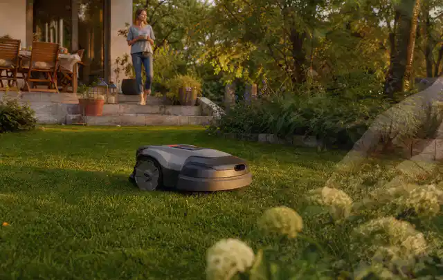 Mähroboter fährt am Abend über einen Rasen im Familiengarten; Thema Mähroboter Messer, Schwerpunkt Anwendung; Ergebnis.