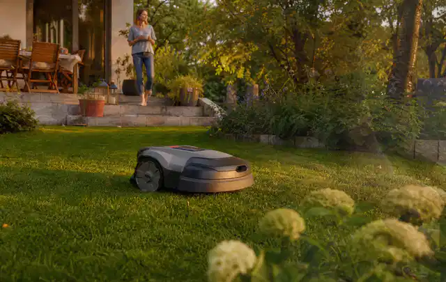 Mähroboter fährt am Abend über einen Rasen im Familiengarten; Thema Mähroboter Messer, Schwerpunkt Ersatzteile; Umsetzung.