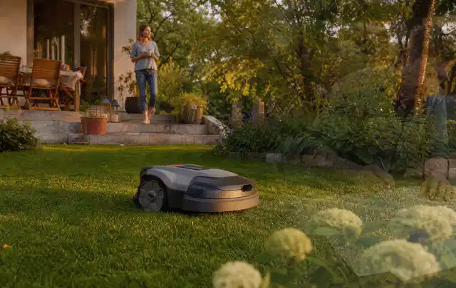 Mähroboter fährt am Abend über einen Rasen im Familiengarten; Thema Mähroboter Messer, Schwerpunkt Fehlerhilfe; Ergebnis.