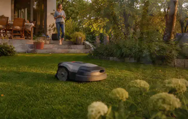 Mähroboter fährt am Abend über einen Rasen im Familiengarten; Thema Mähroboter Messer, Schwerpunkt Kaufberatung; Ausgangslage.