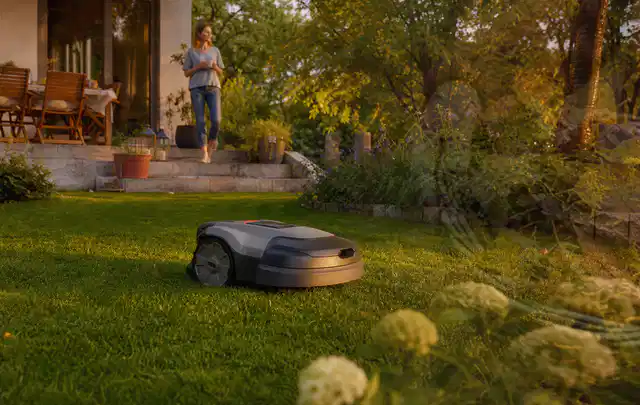 Mähroboter fährt am Abend über einen Rasen im Familiengarten; Thema Mähroboter Messer, Schwerpunkt Kosten; Umsetzung.