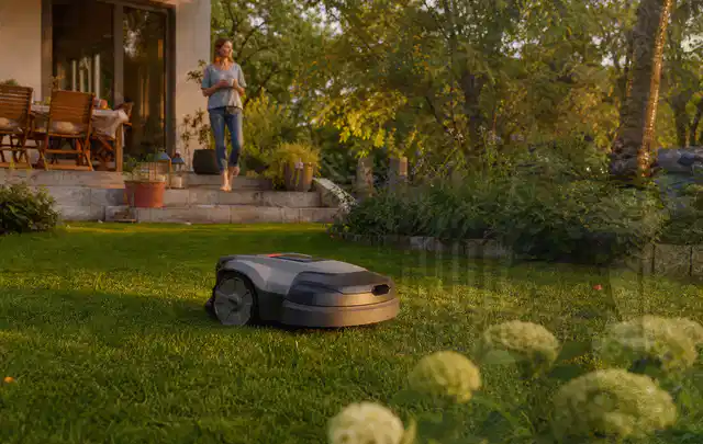 Mähroboter fährt am Abend über einen Rasen im Familiengarten; Thema Mähroboter Messer, Schwerpunkt Reinigung; Kontrolle.