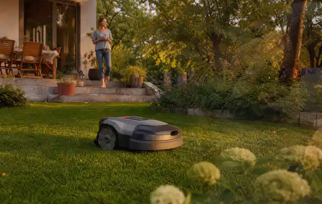 Mähroboter fährt am Abend über einen Rasen im Familiengarten; Thema Mähroboter Messer, Schwerpunkt Sicherheit; Ergebnis.
