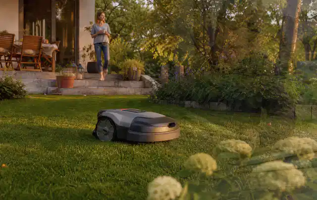 Mähroboter fährt am Abend über einen Rasen im Familiengarten; Thema Mähroboter Messer, Schwerpunkt Testkriterien; Ausgangslage.
