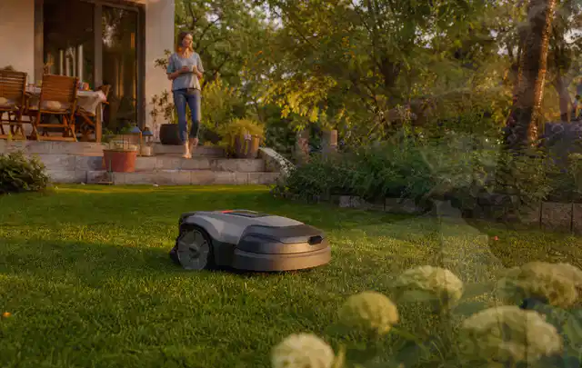 Mähroboter fährt am Abend über einen Rasen im Familiengarten; Thema Mähroboter Messer, Schwerpunkt Vergleich; Praxisalltag.