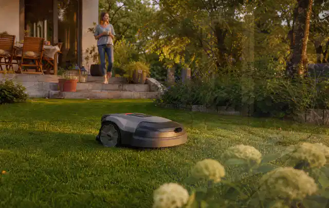 Mähroboter fährt am Abend über einen Rasen im Familiengarten; Thema Mähroboter Messer, Schwerpunkt Wartung; Ausgangslage.