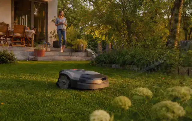 Mähroboter fährt am Abend über einen Rasen im Familiengarten; Thema Mähroboter mit GPS, Schwerpunkt Anwendung; Praxisalltag.