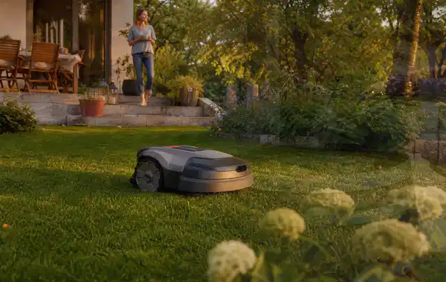 Mähroboter fährt am Abend über einen Rasen im Familiengarten; Thema Mähroboter mit GPS, Schwerpunkt Bestenliste; Ergebnis.