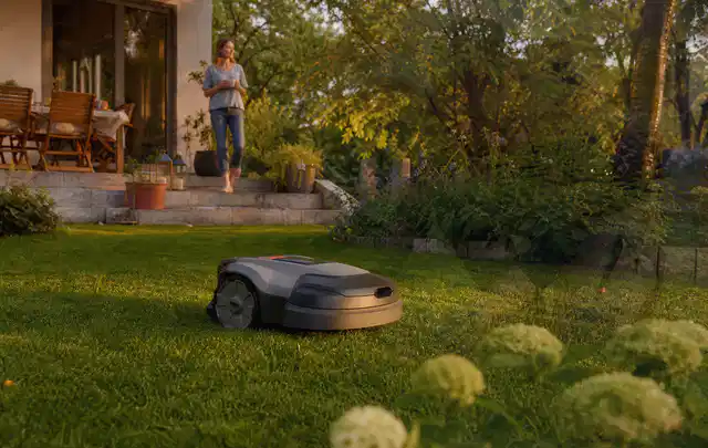 Mähroboter fährt am Abend über einen Rasen im Familiengarten; Thema Mähroboter mit GPS, Schwerpunkt Kaufberatung; Ergebnis.