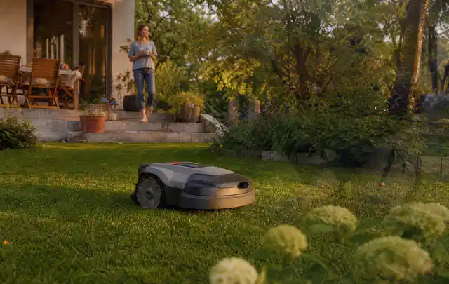 Mähroboter fährt am Abend über einen Rasen im Familiengarten; Thema Mähroboter mit GPS, Schwerpunkt Kosten; Umsetzung.