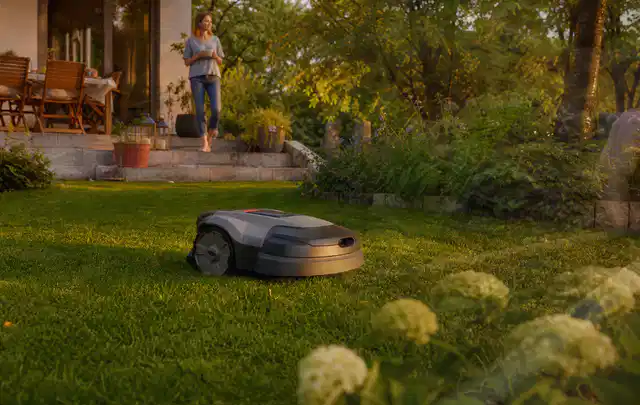 Mähroboter fährt am Abend über einen Rasen im Familiengarten; Thema Mähroboter mit GPS, Schwerpunkt Leistung; Ausgangslage.