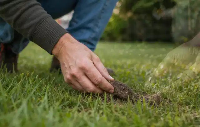 Hand hebt eine kleine Bodenprobe aus einer grünen Rasenfläche; Thema Mähroboter mit GPS, Schwerpunkt Leistung; Praxisalltag.