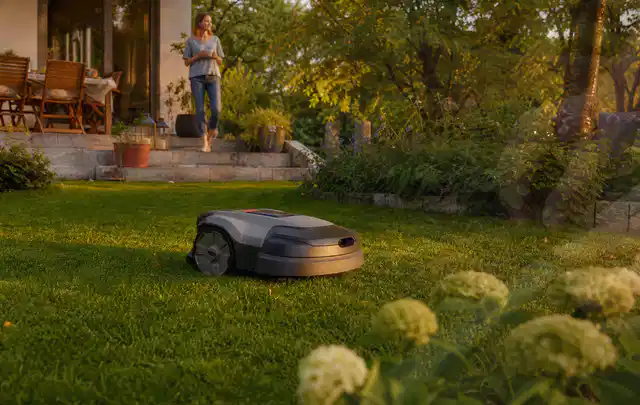 Mähroboter fährt am Abend über einen Rasen im Familiengarten; Thema Mähroboter mit GPS; Kontrolle.