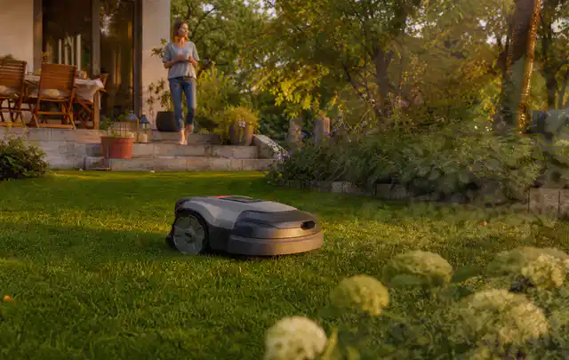 Mähroboter fährt am Abend über einen Rasen im Familiengarten; Thema Mähroboter mit GPS, Schwerpunkt Vergleich; Ergebnis.